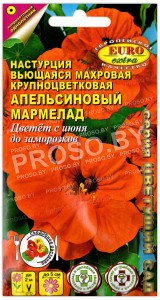 Настурция махровая Апельсиновый мармелад