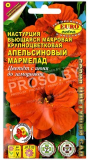 Настурция махровая Апельсиновый мармелад