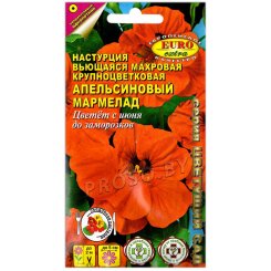 Настурция махровая Апельсиновый мармелад