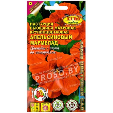 Настурция махровая Апельсиновый мармелад