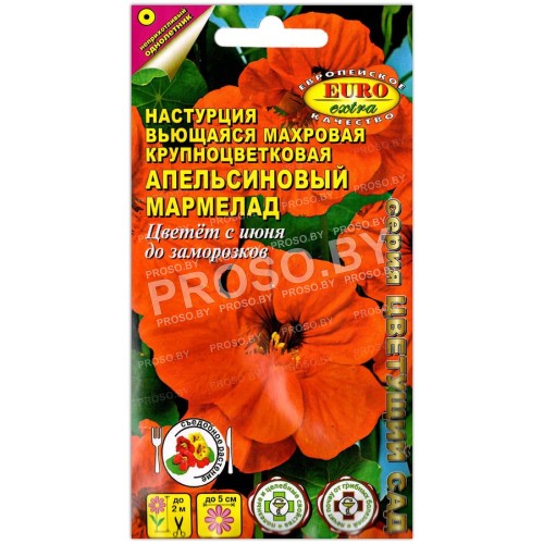 Настурция махровая Апельсиновый мармелад