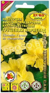 Настурция махровая Грушевый мармелад