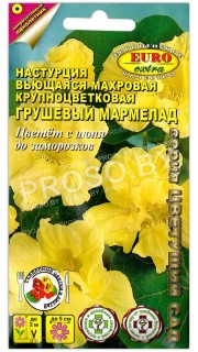 Настурция махровая Грушевый мармелад