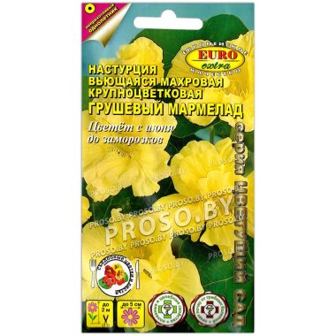 Настурция махровая Грушевый мармелад