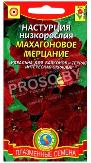 Настурция низкорослая Махагоновое мерцание