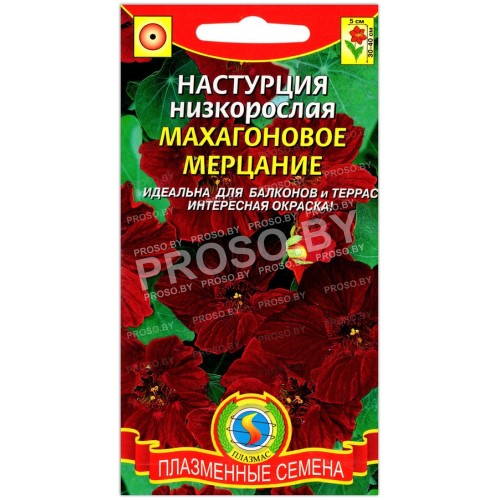 Настурция низкорослая Махагоновое мерцание