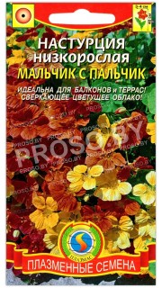 Настурция низкорослая Мальчик с пальчик