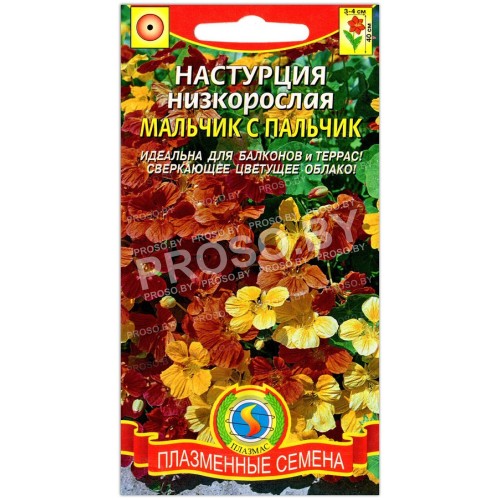 Настурция низкорослая Мальчик с пальчик
