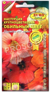 Настурция Обильный цвет