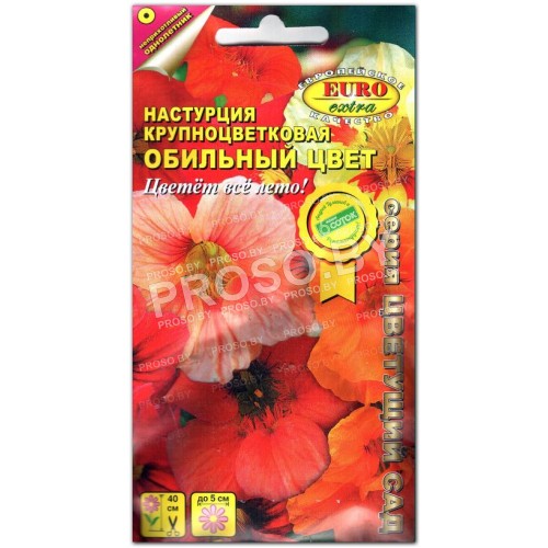 Настурция Обильный цвет