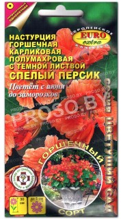 Настурция Спелый персик