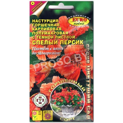 Настурция Спелый персик