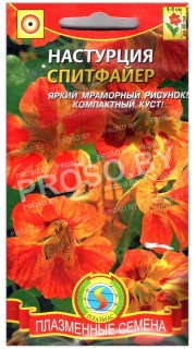 Настурция Спитфайер