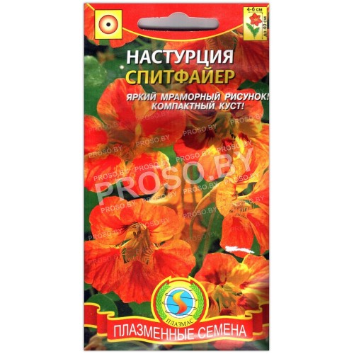 Настурция Спитфайер