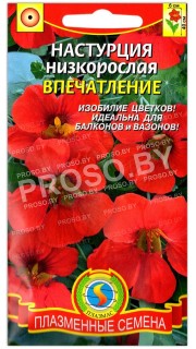 Настурция Впечатление