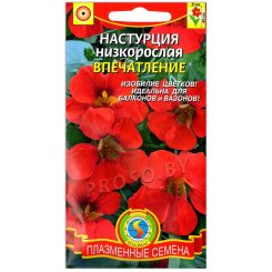 Настурция Впечатление