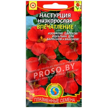 Настурция Впечатление