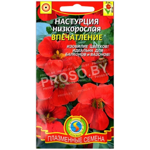 Настурция Впечатление