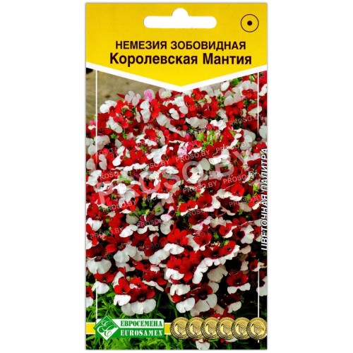 Немезия зобовидная Королевская мантия