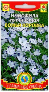 Немофила Божья коровка