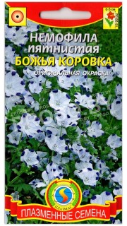 Немофила Божья коровка