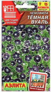 Немофила Темная вуаль
