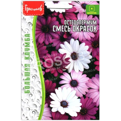 Остеоспермум Смесь окрасок