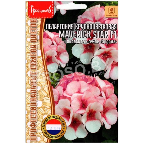 Пеларгония грандифлора Маверик стар F1