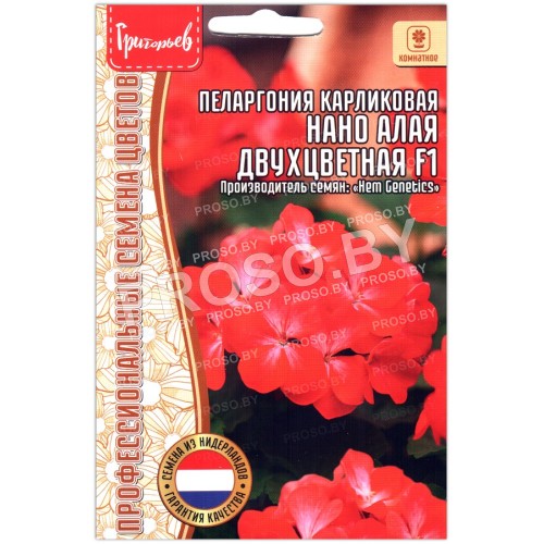 Пеларгония карликовая Нано алая двухцветная F1