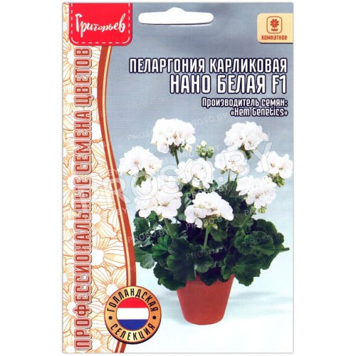 Пеларгония карликовая Нано белая F1