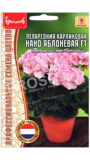 Пеларгония карликовая Нано яблоневая F1