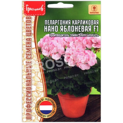 Пеларгония карликовая Нано яблоневая F1