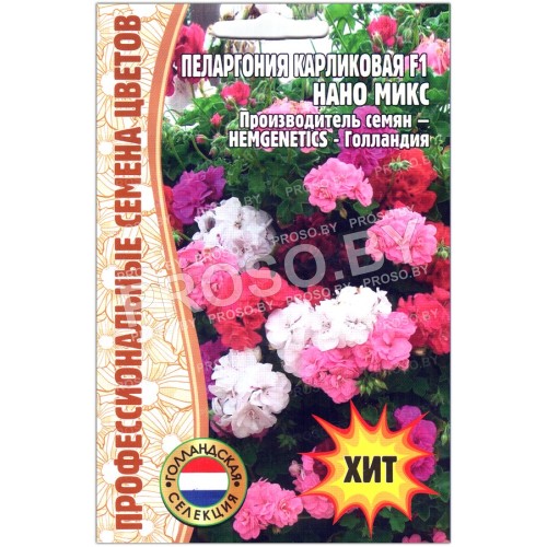 Пеларгония карликовая Нано микс F1