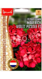 Пеларгония Maverick (маверик) violet picotee F1