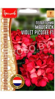Пеларгония Maverick (маверик) violet picotee F1