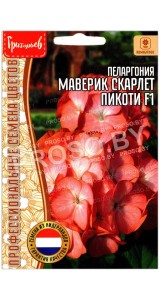 Пеларгония Маверик скарлет пикоти F1