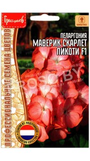 Пеларгония Маверик скарлет пикоти F1
