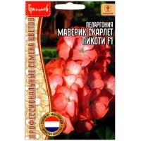 Пеларгония Маверик скарлет пикоти F1 Пеларгония Маверик скарлет пикоти F1