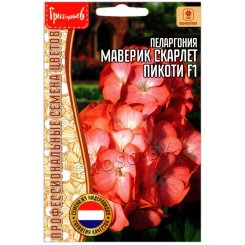 Пеларгония Маверик скарлет пикоти F1