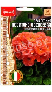 Пеларгония Позитано лососевая
