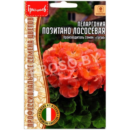 Пеларгония Позитано лососевая