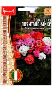 Пеларгония Позитано микс