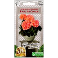 Пеларгония садовая Буллз ай Салмон