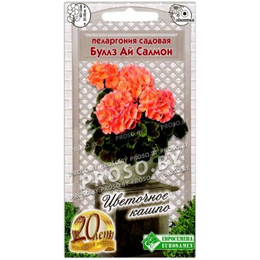 Пеларгония садовая Буллз ай Салмон