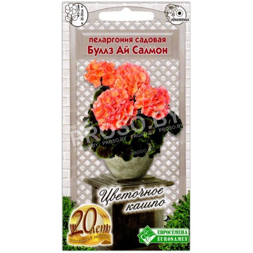 Пеларгония садовая Буллз ай Салмон