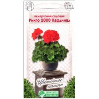 Пеларгония садовая Ринго 2000 кардинал
