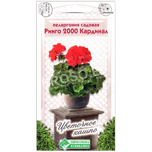 Пеларгония садовая Ринго 2000 кардинал