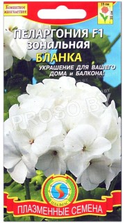 Пеларгония зональная Бланка F1