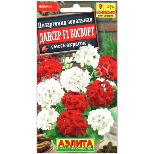 Пеларгония зональная Дансер босворт F2, смесь