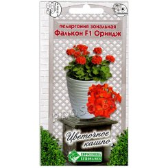 Пеларгония зональная Фалькон ориндж F1